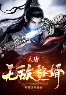 大唐无敌赘婿萧枫