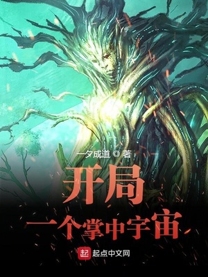 开局一个掌中宇宙精校版下载