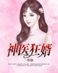 神医狂婿女总裁的上门女婿