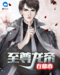 至尊龙帝陆鸣免费阅读正版