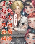 穿越从欢乐颂开始飞卢小说网