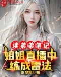 读弟弟笔记,姐姐直播中练成雷法 不空军