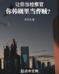 让你当检察官，你韩剧里当曹贼？