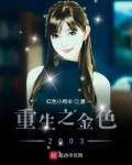 重生之金色2003