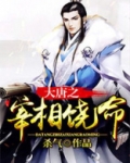 大唐之宰相饶命