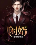 闲婿