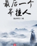 最后一个莽撞人 小说