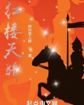 红楼天骄