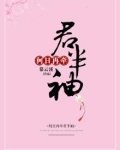 何日再牵君半袖
