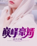 巅峰豪婿