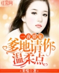 爹地请你温柔点小说在线观看