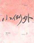 小例外