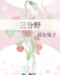 三分野