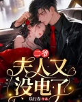 二爷,夫人又没电了