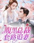 腹黑总裁套路追妻苏小柒免费阅读