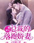 一胎双宝：总裁的落跑娇妻