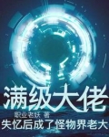 满级大佬成了大佬之后