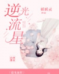 逆光流星