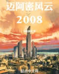 迈阿密风云2008