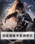 我家猫偷来雷神果实