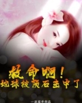 救命啊！地球被陨石击中了