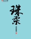 珠柔小说免费阅读