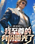 被退婚后，我至尊的身份曝光了