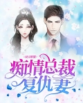 双宝联盟：痴情总裁复仇妻