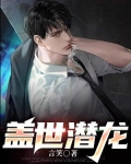 盖世潜龙叶风云