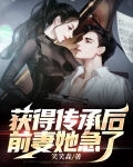 得到传承小说