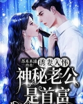 诱妻入怀：神秘老公是首富