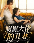 腹黑大佬的丑妻全文阅读