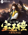 宝玉瞳小说