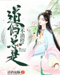 道侣总是不消停小说