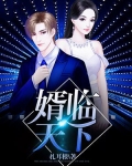 婿临天下