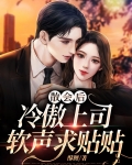 散会后,冷傲上司软声求贴贴