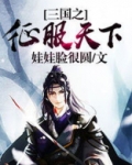 三国之征服天下