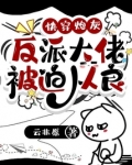 快穿炮灰：反派大佬被迫从良