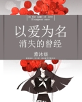 小说以爱为名