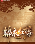 锦衣红楼笔趣阁