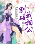 娘子别打