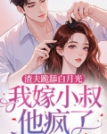 嫁给渣夫的小说