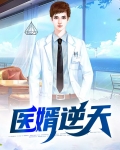 医婿逆天