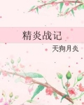 精炎战记.txt