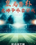 皇马替补，老佛爷非要留我
