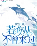 若你从不曾来过