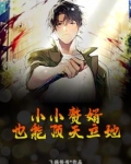 小小赘婿，也能顶天立地