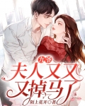 九爷，夫人又又又掉马了