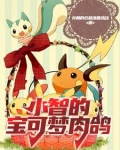小智宝可梦同人文