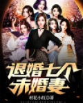 退婚七个未婚妻TXT